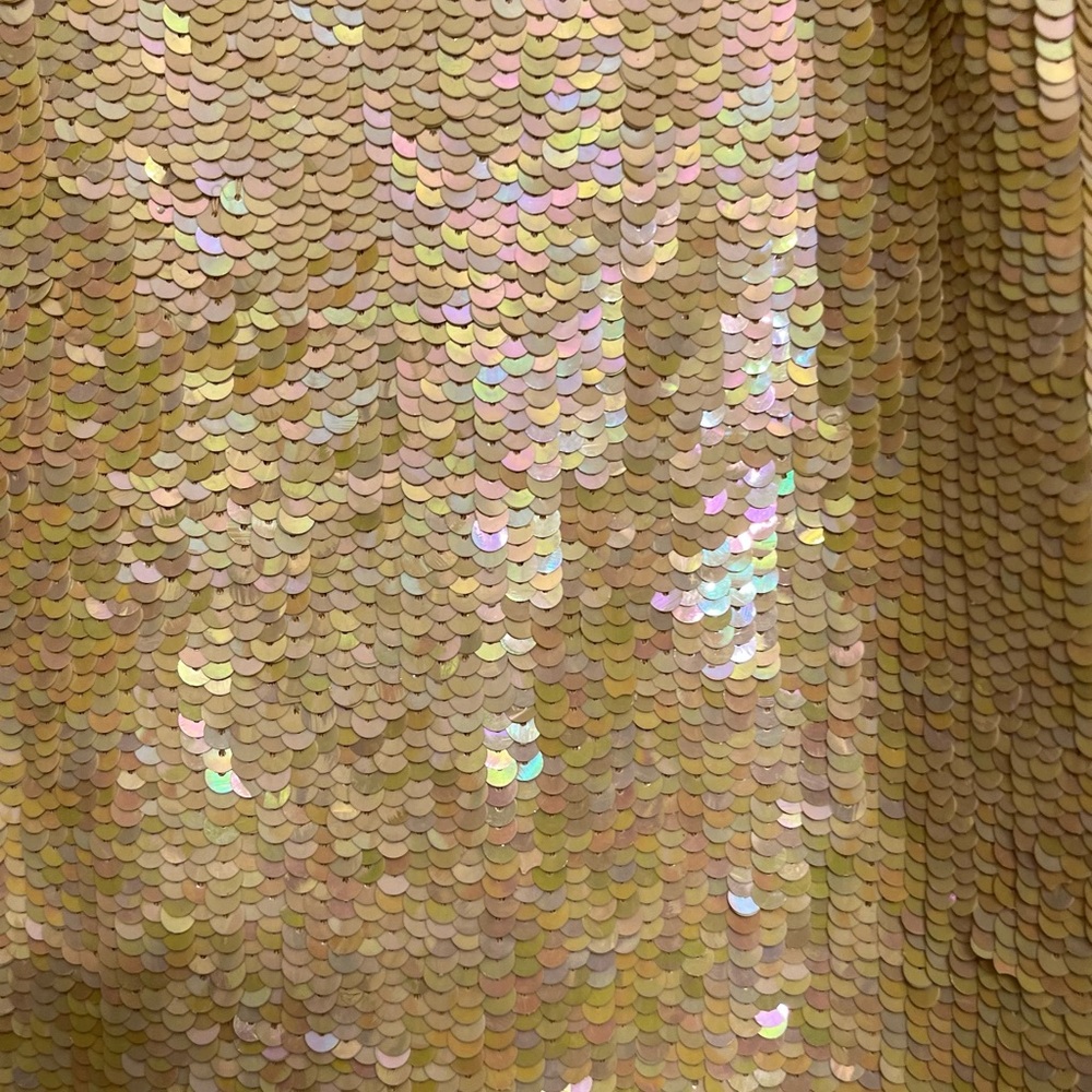 Niteline by Bella Rourfagali size 12-14 Ivory sequin tank AB sequins side slits - Picture 9 of 16